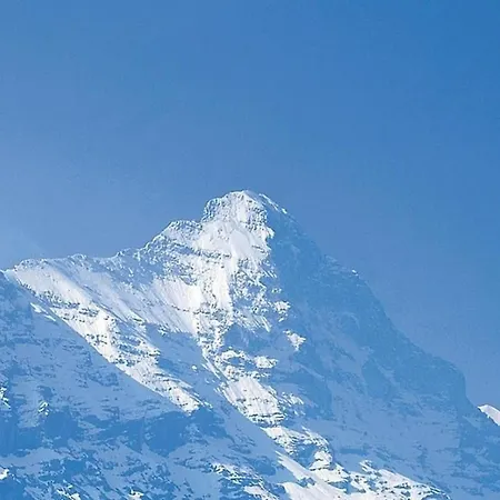 Casa de Férias Tournelle 8 Bett Grindelwald